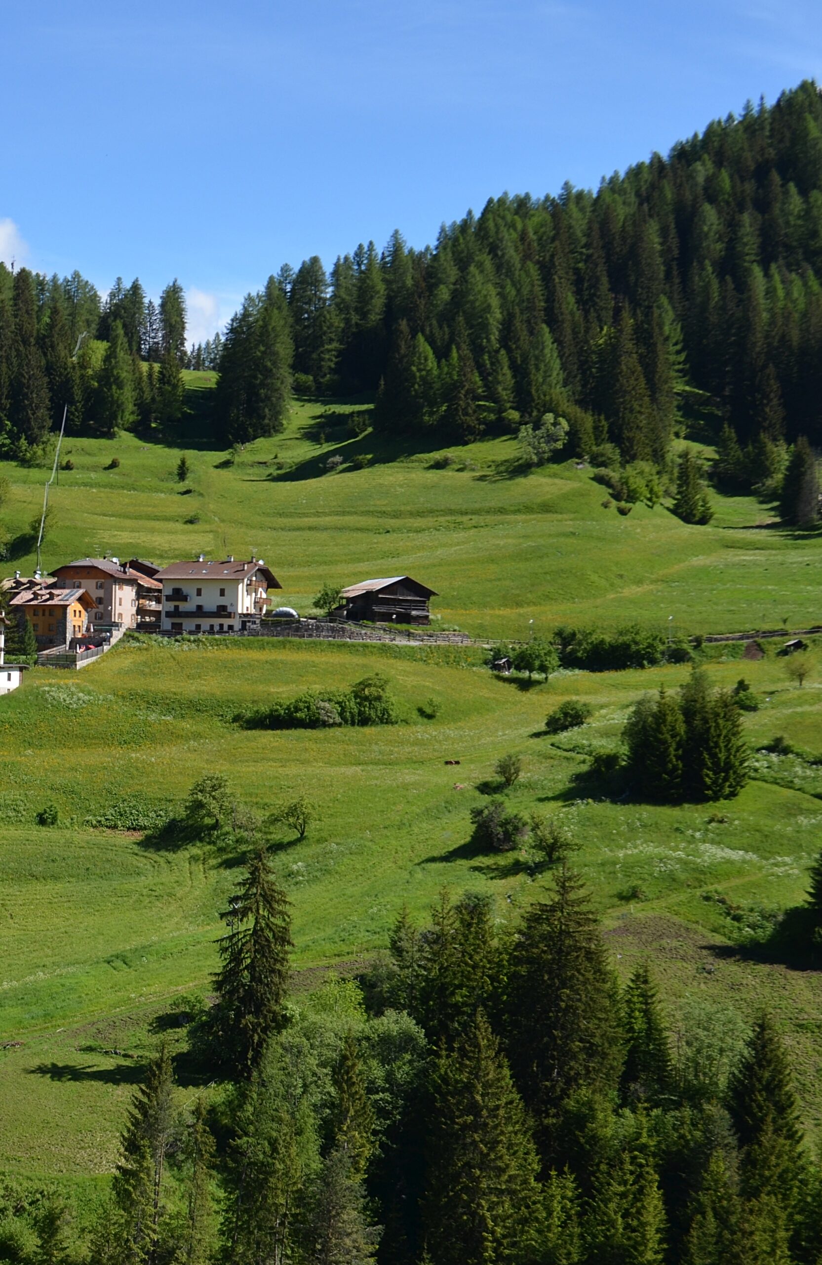 https://dolomiti-casa.it/wp-content/uploads/2025/07/008-scaled.jpg